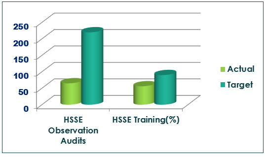 HSE2.jpg